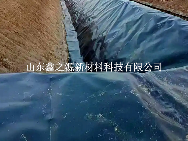 鱼塘防渗膜焊缝漏了？这些检测技巧一查一个准