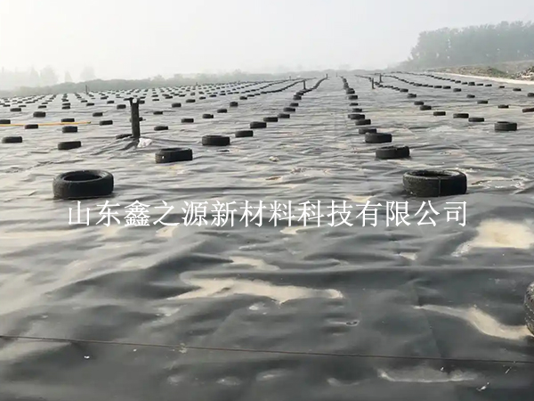 蓄水池防渗膜裁剪别乱剪，这些技巧更省心