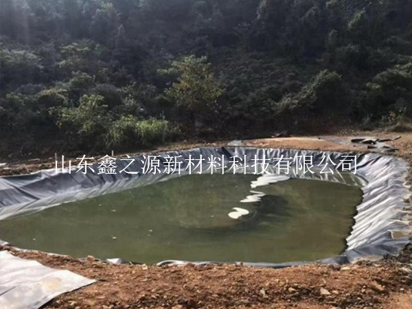 藕池防渗膜总被扎破？做好这几步，彻底告别漏水烦恼